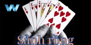 Sảnh rồng là gì