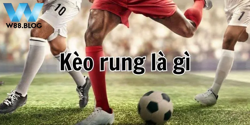Hiểu về kèo cược rung là gì?