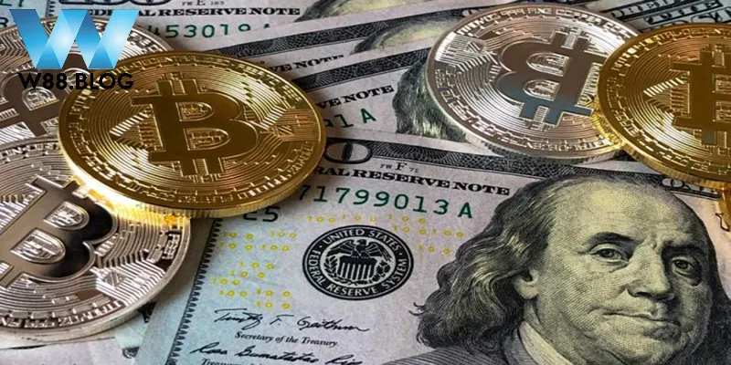 Một số loại tiền tệ được sử dụng